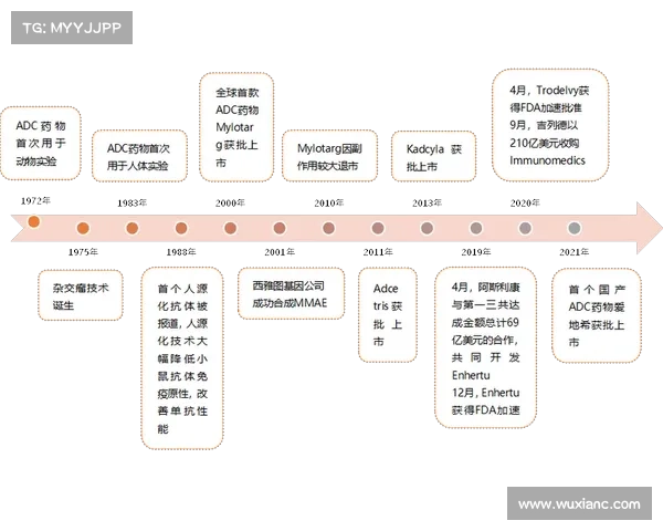 adc赛道 adc赛道