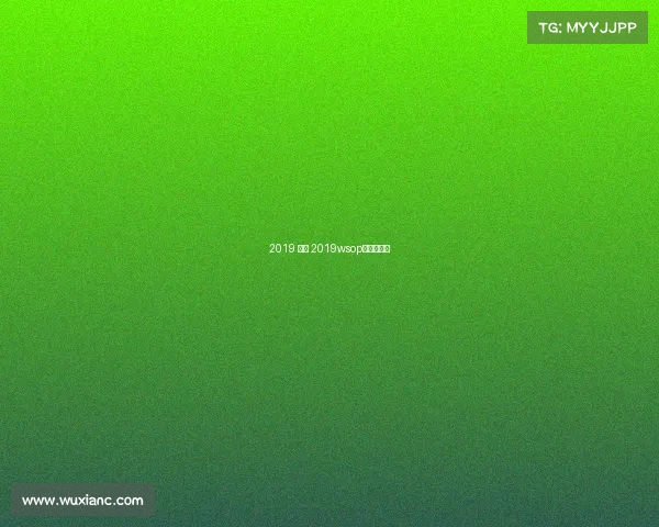 2019 赛事 2019wsop主赛事冠军